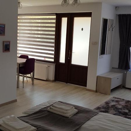 Hotel Casa Montis à Borşa Extérieur photo
