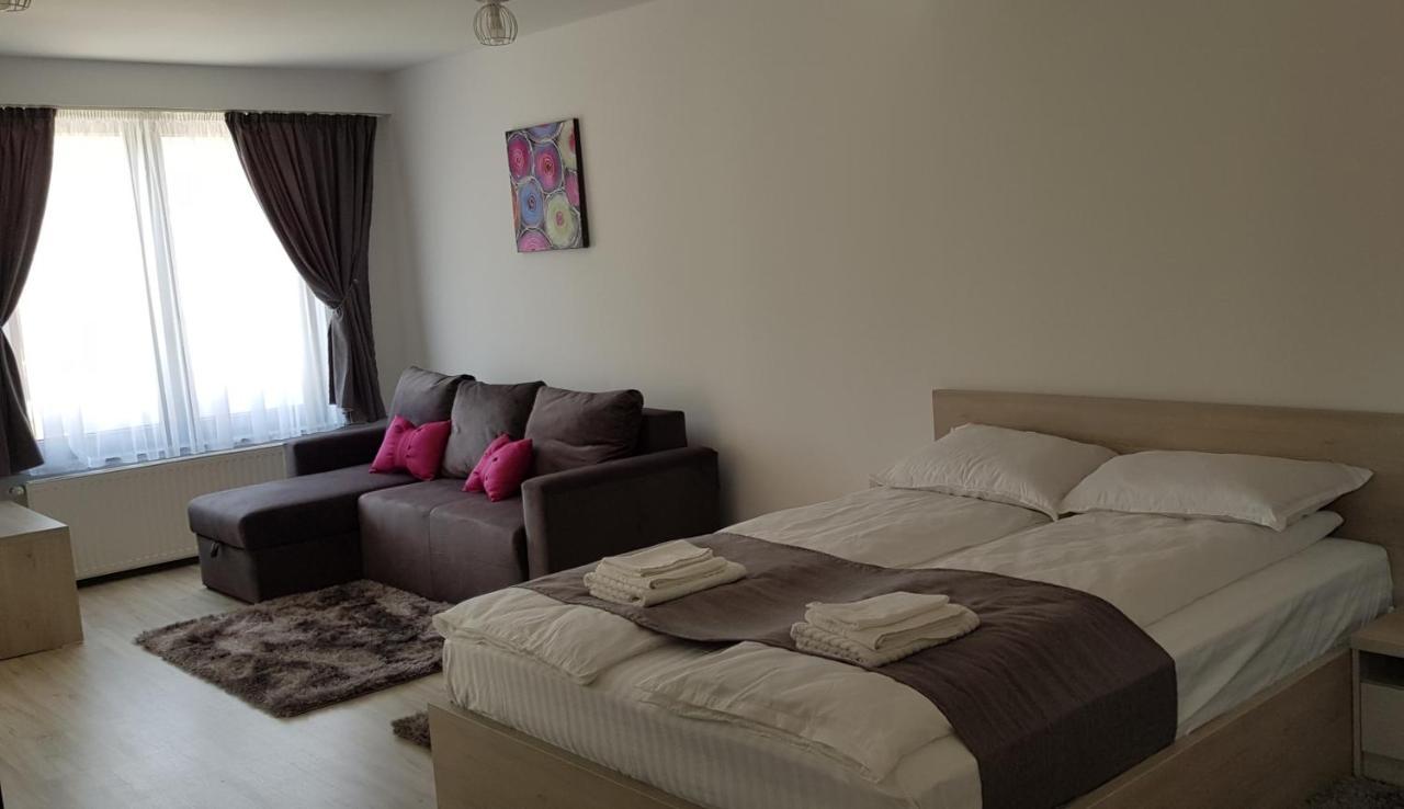 Hotel Casa Montis à Borşa Extérieur photo
